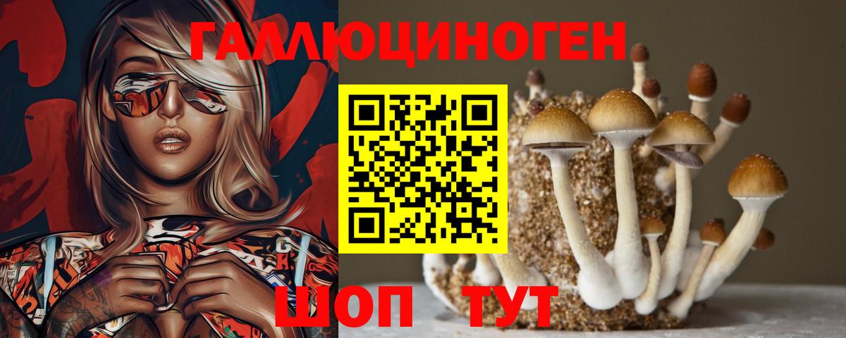 Елабуга  Галлюциногенные грибы мицелий  Вход с VPN 