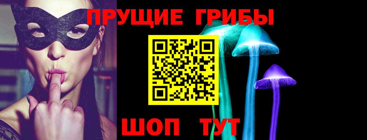 Псилоцибиновые грибы Psilocybine cubensis Елабуга